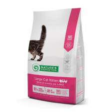 NP Large Cat Kitten, 2kg