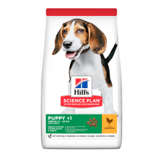 Hill's Science Plan Medium Puppy, piletina, hrana za pse